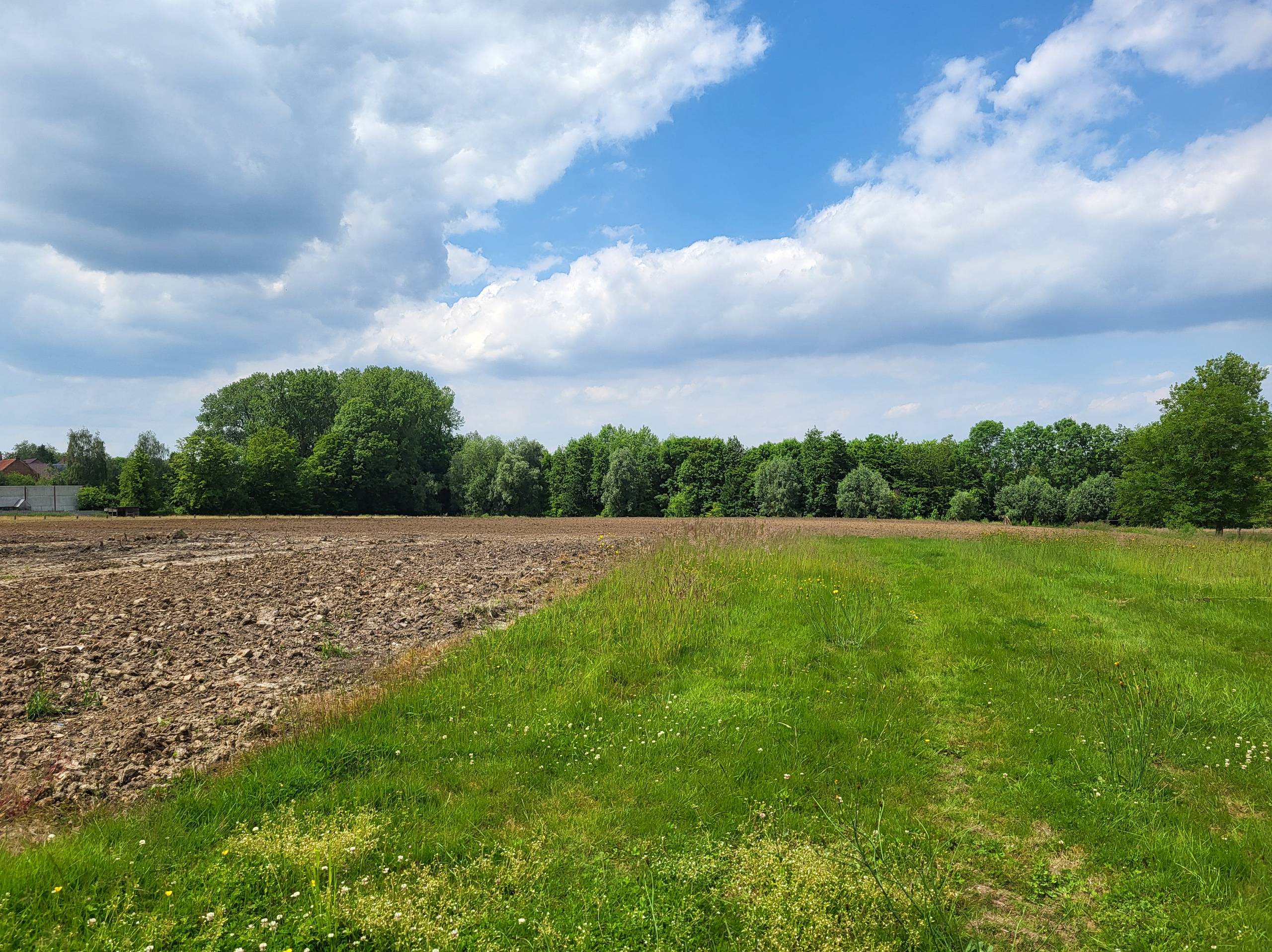 Land for sale in Deftinge - photo 1