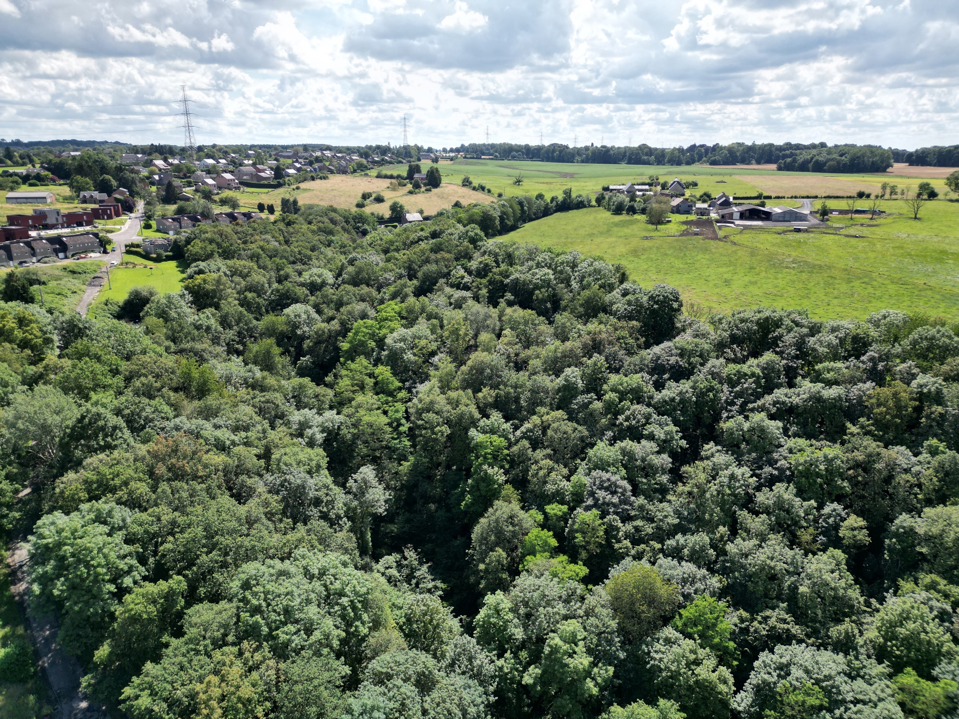 Grond te koop in Marchin - foto 1