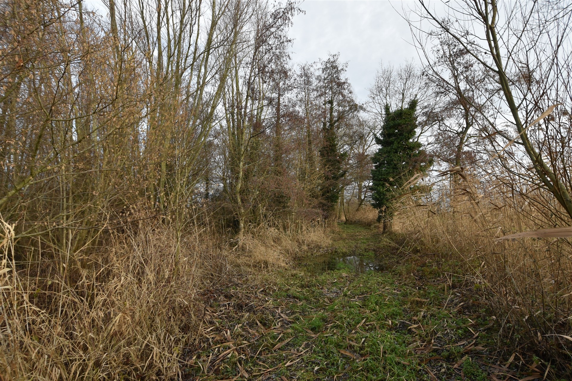 Land for sale in Dendermonde - photo 5
