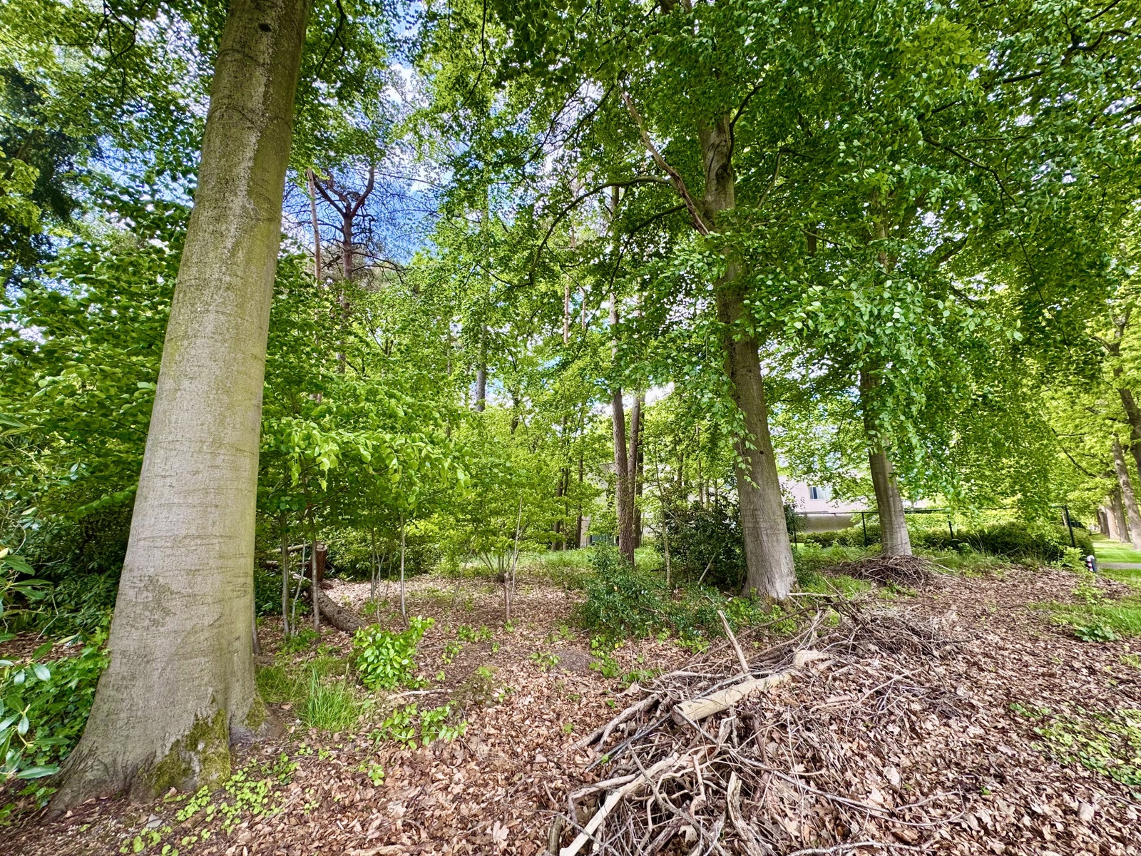 Nieuwbouwvilla in Residentiële Woonwijk van Brasschaat - foto 5