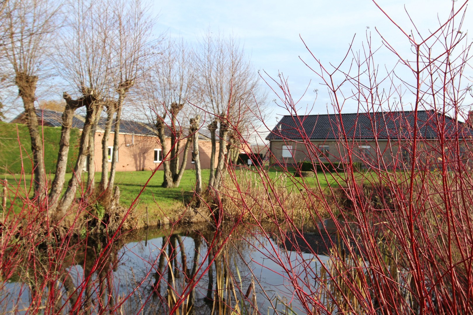 Landelijk gelegen woning met loods - foto 2