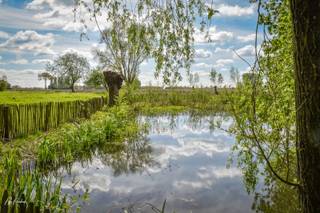 Idéalement située sur un terrain de 8 720 m² sur la colline de Poelberg à Tielt,cette ferme est nichée dans un écrin de verdure, accessible par les...