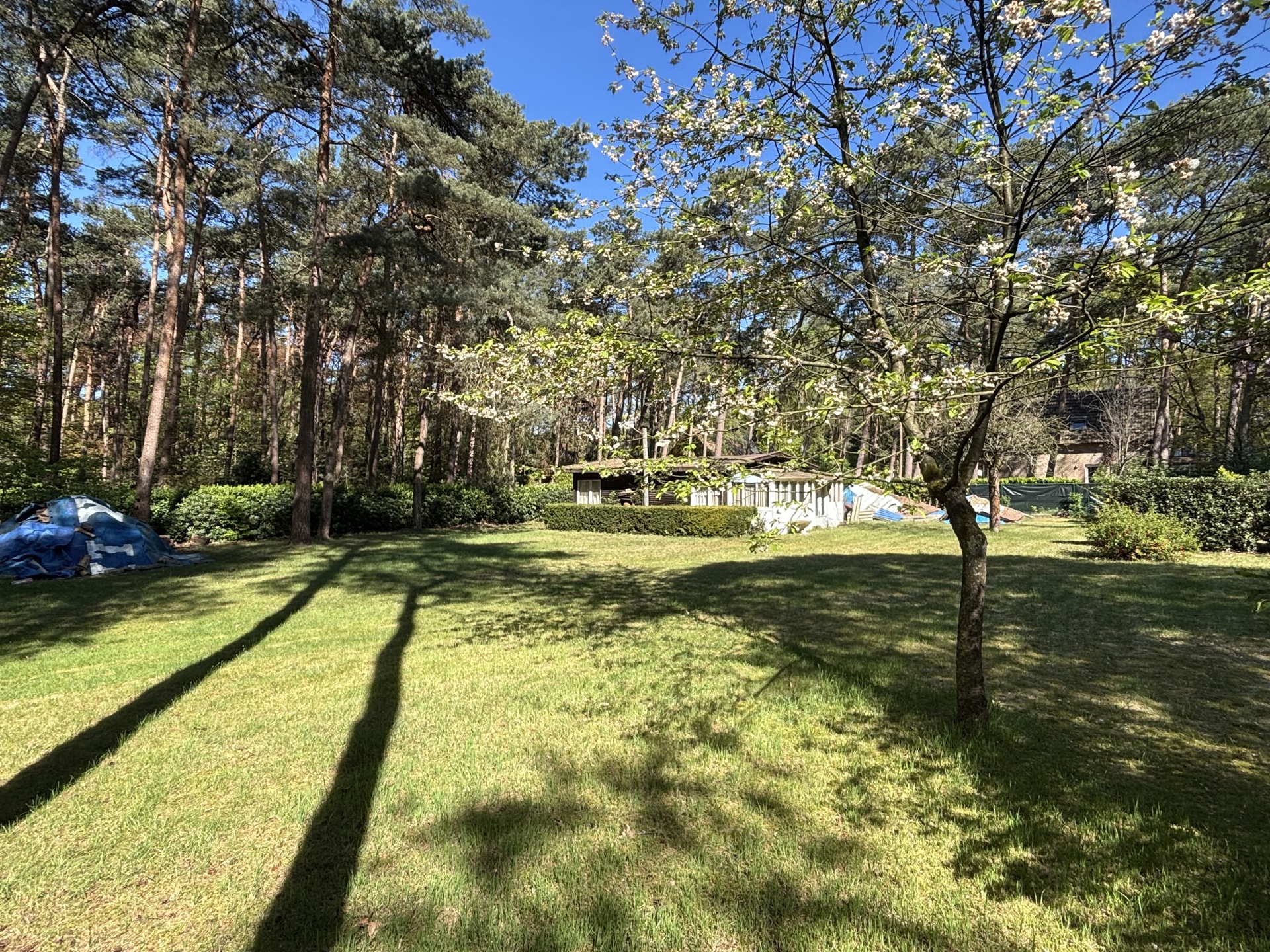 Land for sale in Essen - photo 5