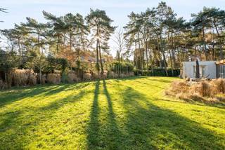 In de residentiële villawijk Grote Heide te Pelt bevindt zich deze charmante gelijkvloerse woning op een perceel van 2.471 m². Dankzij haar aangename lichtinval, praktische indeling en aangename tuin vormt dit een ideale thuis voor wie houdt van comfort en rustige woonomgeving.<br /><br />Indeling:<br />Deze gelijkvloerse woning ligt in de mooie villawijk Grote Heide, waar rust, ruimte en residentieel wonen centraal staan. Via de uitnodigende inkomhal met vestiaire en gastentoilet betreed je de lichtrijke leefruimte, afgewerkt met warme parketvloer. De gezellige erker versterkt het open, huiselijke gevoel en biedt een prachtig zicht op de omliggende tuin.<br /><br />De open leefkeuken sluit naadloos aan op de woonkamer en vormt een aangename plek om te koken en te genieten. Aansluitend bevindt zich een praktische berging met directe toegang tot de sfeervolle tuinkamer — een ideale ruimte om het hele jaar door van het groen rondom te genieten.<br /><br />Aan de voorzijde van de woning is een aparte kantoorruimte voorzien, uitgerust met airconditioning. Perfect geschikt voor thuiswerk. Via de zij-ingang bereik je de ruime hobbykamer van maar liefst 40 m², een veelzijdige ruimte die tal van mogelijkheden biedt.<br /><br />Verder beschikt de woning over drie comfortabele slaapkamers, allemaal afgewerkt met parket en de masterbedroom voorzien van ingebouwde kasten. De badkamer werd stijlvol ingericht met een inloopdouche, toilet en dubbele wastafel. Verder nog een praktische wasplaats met aansluiting voor wasmachine en droogkast en een douchecabine.<br />Rondom de woning ligt een verzorgde, onderhoudsvriendelijke tuin met een beregeningsinstallatie op grondwater. Hier geniet je in alle privacy van rust en natuur.<br /><br />Bijzonderheden<br />•Gelijkvloers wonen<br />•Kantoorruimte aan de voorzijde, voorzien van airco<br />•24 zonnepanelen<br />•EPC: 173 kWh/m²