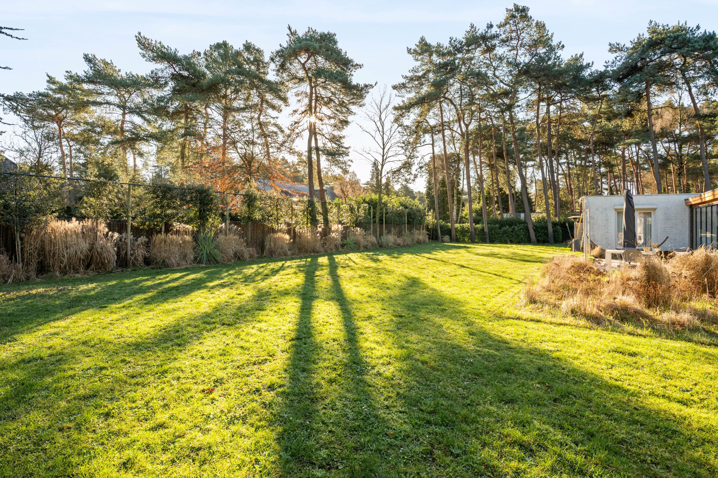 Villa de plein pied sur un terrain de 2.471 m² à Pelt - photo 4