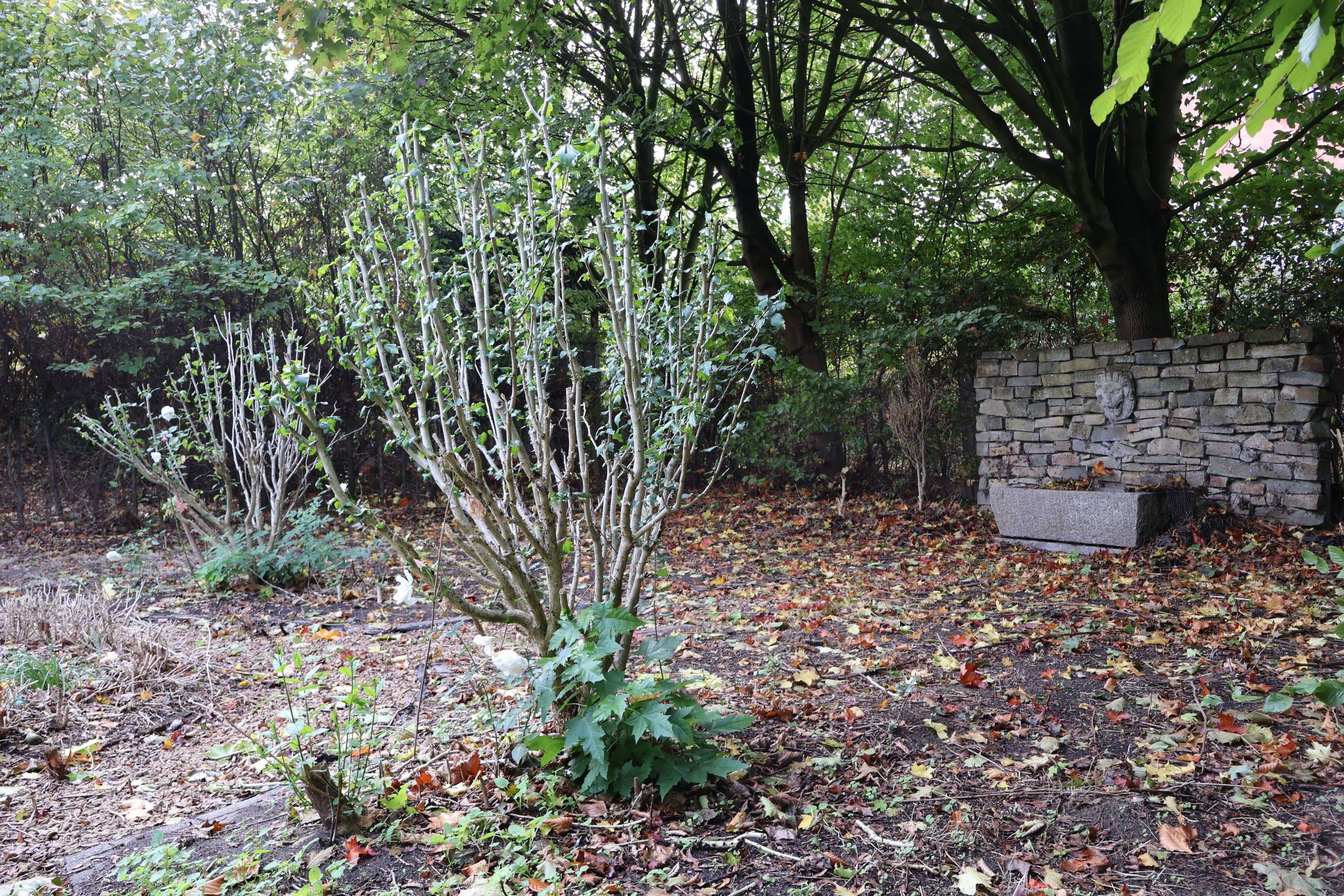 House for sale in Herentals with 4 bedrooms - photo 5