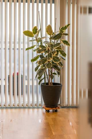 Ben je op zoek naar een luxueus gerenoveerd appartement met domotica en terras? Lees dan zeker verder!Dit instapklare appartement is gelegen in het...