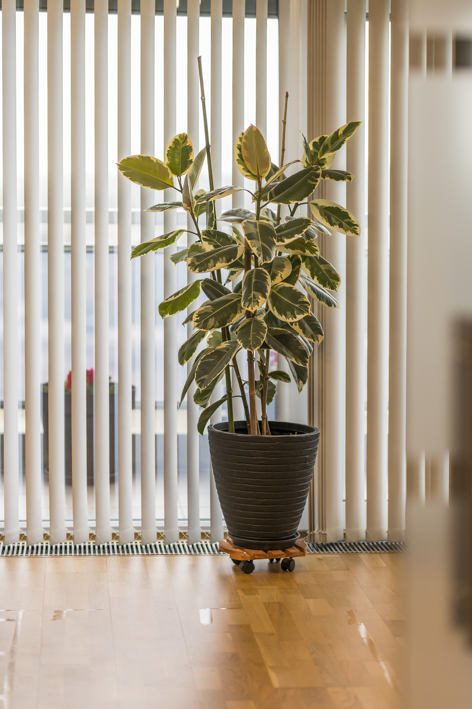 Luxueus gerenoveerd appartement met domotica en terras - foto 4