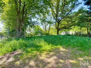 <p>Aan het einde van een rustige, doodlopende straat in het groene Baal vind je een zeldzame opportuniteit: een uitgestrekt perceel van 12.713 m² puur natuur,<br />omgeven door rust en privacy.<br />Hier ontsnap je aan de drukte en ben je midden in het groen, op een ongelofelijke locatie.<br />Het domein omvat een charmante chalet en enkele bijgebouwen, die onvergund zijn. Voor wie dromen heeft biedt dit terrein een zee aan mogelijkheden binnen het geldende bestemmingskader.<br />Of je nu op zoek bent naar een toevluchtsoord in de natuur, een investering of een plek waar stilte nog echt stilte is: dit perceel is het ontdekken waard.<br /><br />Bel ons op 016 90 10 21 of mail naar info@future-home.be voor meer informatie of een bezichtiging.<br /><br />Wens je een gratis schatting? Vergeet dan zeker geen contact met ons op te nemen!<br /><br />EPC: 2225 kWh/m² EPC : 20250504-0003592192--RES-2<br /><br />Natuurgebied, geen vergunning, geen voorkooprechten, geen watertoets</p>