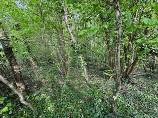 Welkom in Rotselaar! Deze bouwgrond is gelegen in de nabijheid van alle voorzieningen (openbaar vervoer, scholen, supermarkten,...