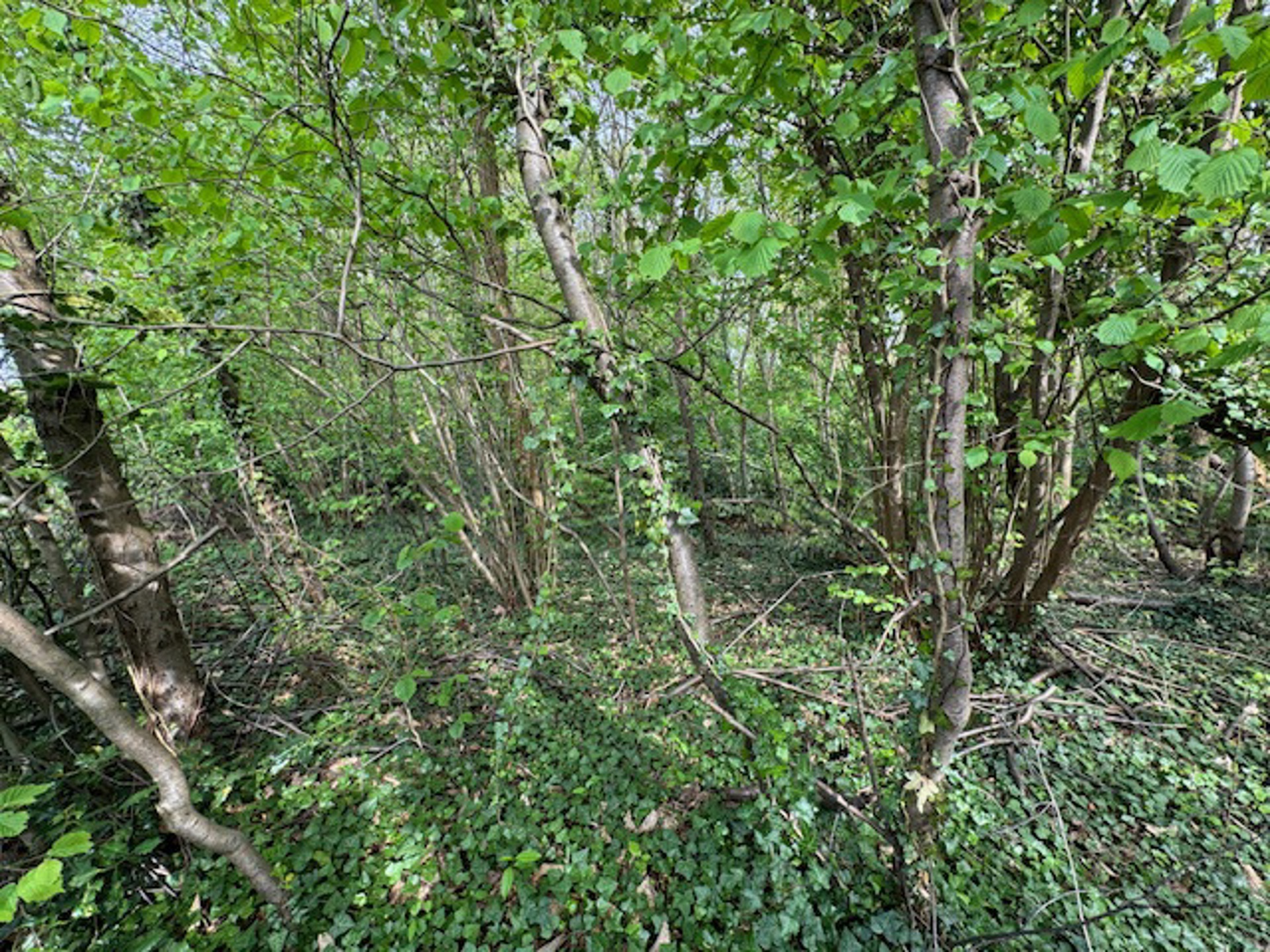 Bouwgrond voor open bebouwing (79 meter straatbreedte) - foto 3