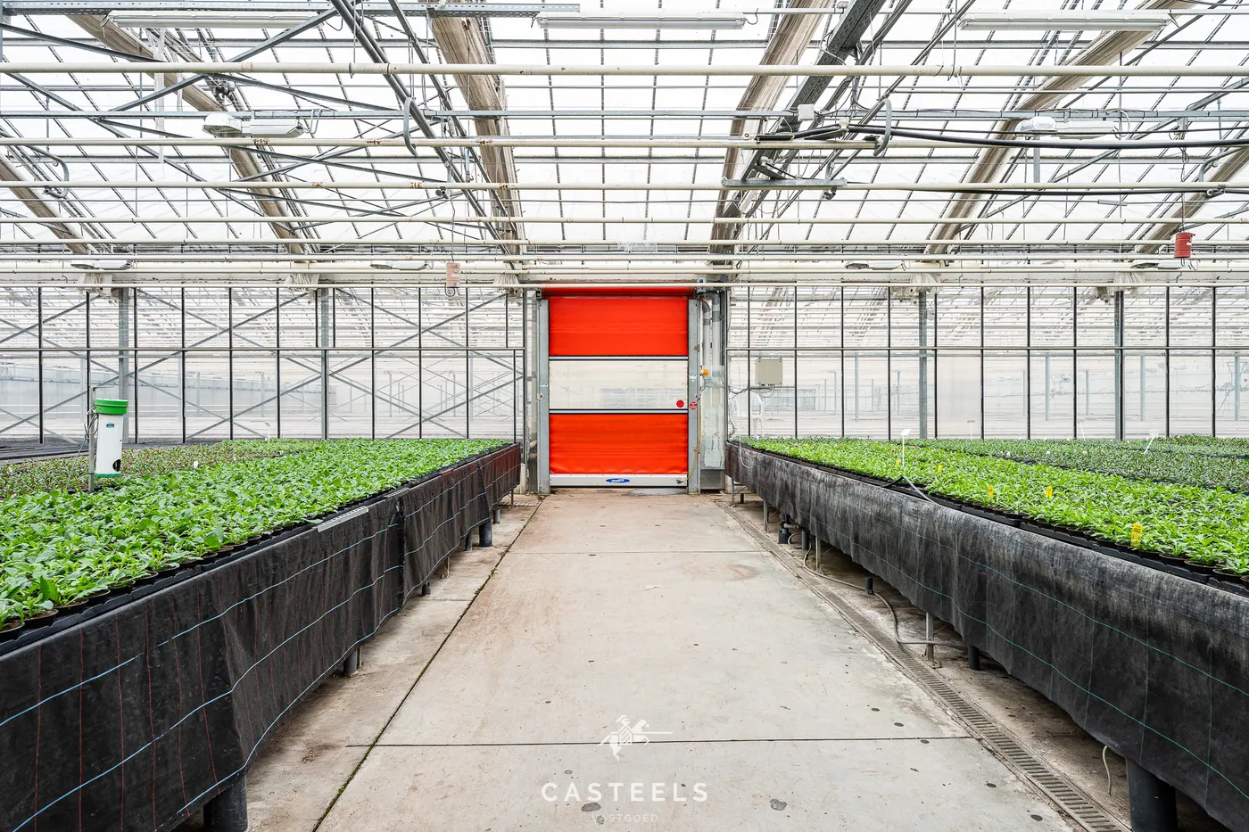 Tuinbouwbedrijf (1,98 ha) met 9.400m² serres en bedrijfswoning nabij E17/R4 - foto 1