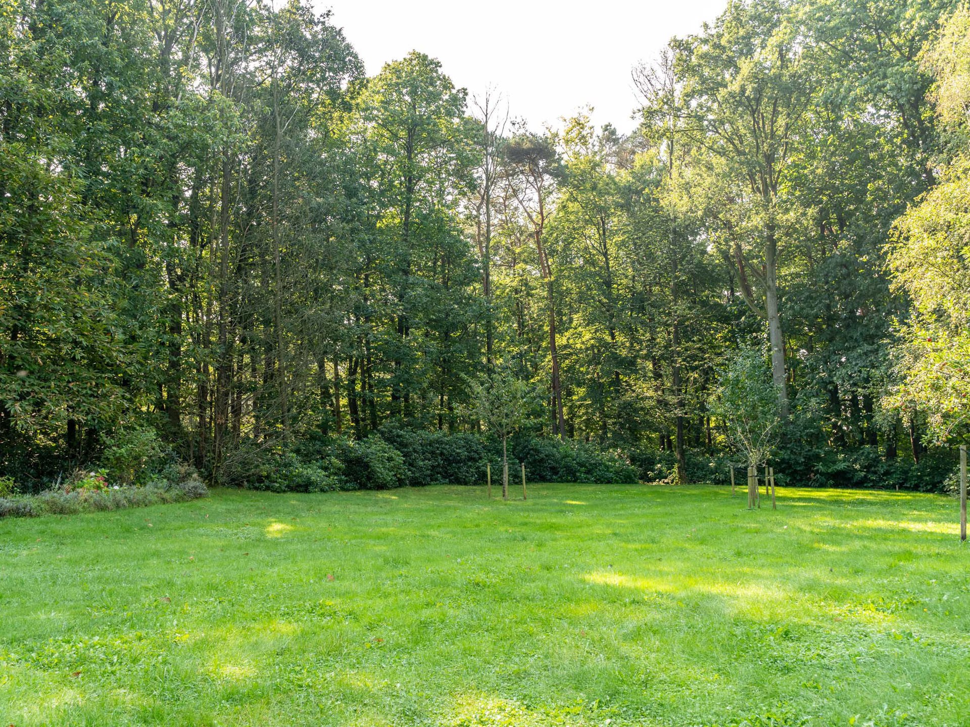 Waals-Brabant I Waver - foto 1