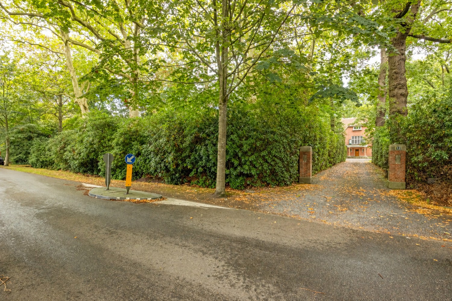 Karaktervolle te renoveren rietgedekte villa op een uitzonderlijk parkdomein van 9127 m² in Vriesdonk - foto 4