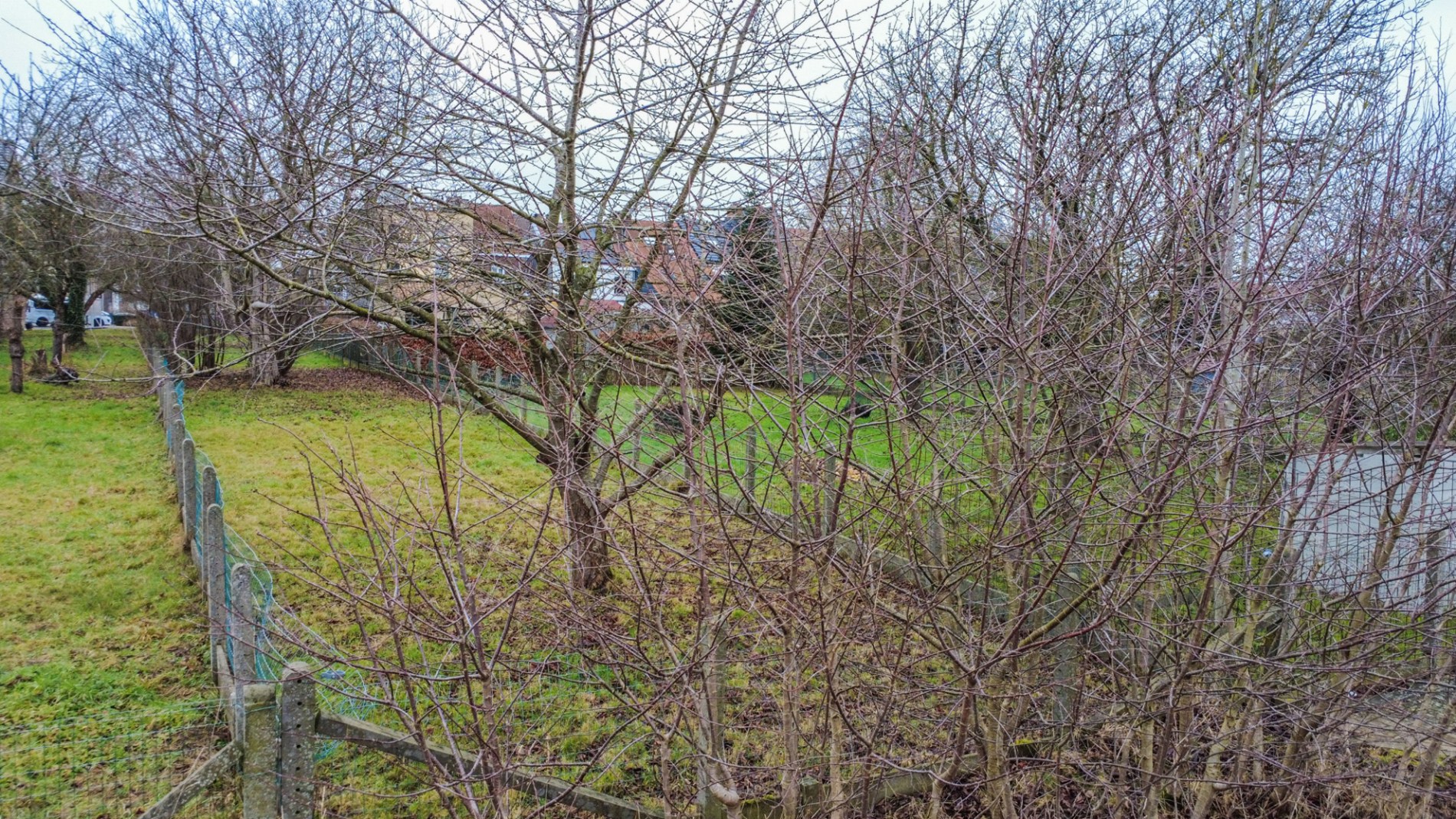 ZEER GUNSTIG GELEGEN BOUWGROND VAN 5A77! - foto 4