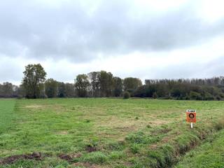 Twee percelen WEILAND gelegen te Spoorwegstraat, kadastraal gekend volgens het kadaster 2 AFD Helen-Bos sectie C nummers 0159P en 0159R, met een totale kadastrale oppervlakte van 18.280 m².<br /><br />Extra info: gelegen aan een verharde weg I mogelijkheid om een van de twee percelen afzonderlijk aan te kopen I EPC niet van toepassing I infoplicht: Gvg, Lwag, Gvv, Gvkr, Gmo I watertoets: P-score: D I G-score: onbekend.