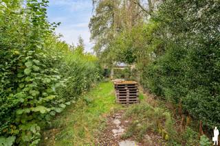 <p><strong>Te renoveren woning met 4 slaapkamers, tuin en bijgebouw in Kalmthout</strong></p>
<p>Deze <strong>te renoveren woning</strong> aan de Schooldreef 42 in Kalmthout biedt een mooie opportuniteit voor wie een woning volledig naar eigen smaak en wensen wil afwerken. De woning is <strong>reeds grotendeels gestript</strong>, waardoor de renovatiewerken meteen verder kunnen worden aangevat. Met <strong>4 slaapkamers, een tuin, een bijgebouw en een praktische indeling</strong> biedt dit pand heel wat mogelijkheden.</p>
<p><strong>Gelijkvloerse verdieping</strong></p>
<ul>
<li><strong>Inkomhal</strong> met houten trap naar de eerste verdieping</li>
<li><strong>Leefruimte</strong> met raam aan de voor-en achterzijde en doorgang naar de keuken</li>
<li><strong>Keukenruimte</strong> met rechtstreekse toegang tot het terras, volledig naar eigen wens in te richten</li>
<li><strong>Apart toilet</strong> aan de traphal</li>
<li><strong>PVC-ramen met dubbele beglazing</strong> en rolluik aan de voorzijde</li>
</ul>
<p><strong>Eerste verdieping</strong></p>
<ul>
<li><strong>Nachthal</strong> met houten trap naar de zolderverdieping</li>
<li><strong>2 slaapkamers</strong>, met natuurlijke lichtinval</li>
<li><strong>Ruimtes reeds grotendeels gestript</strong>, klaar voor verdere renovatie en afwerking</li>
<li><strong>Ruimte voor badkamer en een ruimte voor technische voorzieningen</strong>, verder af te werken</li>
</ul>
<p><strong>Zolderverdieping</strong></p>
<ul>
<li><strong>2 bijkomende kamers</strong>, beide voorzien van een dakraam</li>
<li><strong>Dakvloer geïsoleerd</strong></li>
<li>Mogelijkheid om deze ruimtes verder in te richten als slaapkamers</li>
</ul>
<p><strong>Kelder</strong></p>
<ul>
<li><strong>Kelderruimte</strong> met aansluitingen voor nutsvoorzieningen</li>
</ul>
<p><strong>Tuin en buitenruimte</strong></p>
<ul>
<li><strong>Voortuintje</strong> aan de straatzijde</li>
<li><strong>Terras</strong> aan de achterzijde van de woning</li>
<li><strong>Achterliggende tuin</strong> met groen karakter</li>
<li><strong>Bijgebouw</strong> aanwezig in de tuin</li>
</ul>
<p><strong>Bijzonderheden</strong></p>
<ul>
<li><strong>Reeds grotendeels gestript</strong>, ideaal als vertrekpunt voor een totaalrenovatie</li>
<li><strong>4 slaapkamers</strong>, verdeeld over de eerste verdieping en zolder</li>
<li><strong>PVC-ramen met dubbele beglazing</strong></li>
<li><strong>Betonnen draagstructuur</strong></li>
<li><strong>Geïsoleerde dakvloer</strong></li>
<li><strong>EPC-label F</strong> – renovatieverplichting van toepassing</li>
<li><strong>Tuin en bijgebouw</strong> met bijkomende mogelijkheden</li>
</ul>
<p><strong>Ligging</strong></p>
<p>De woning is gelegen in de <strong>Schooldreef in Kalmthout</strong>, een rustige straat met winkels, openbaar vervoer en andere dagelijkse voorzieningen in de nabije omgeving.</p>
<p><strong>Een interessante renovatieopportuniteit voor wie op zoek is naar een woning met 4 slaapkamers en de vrijheid om alles volledig naar eigen smaak in te richten.<br /><br /></strong>Bewoonbare opp. 144 m² ref.: bruto vloeropp. EPC-certificaat.</p>