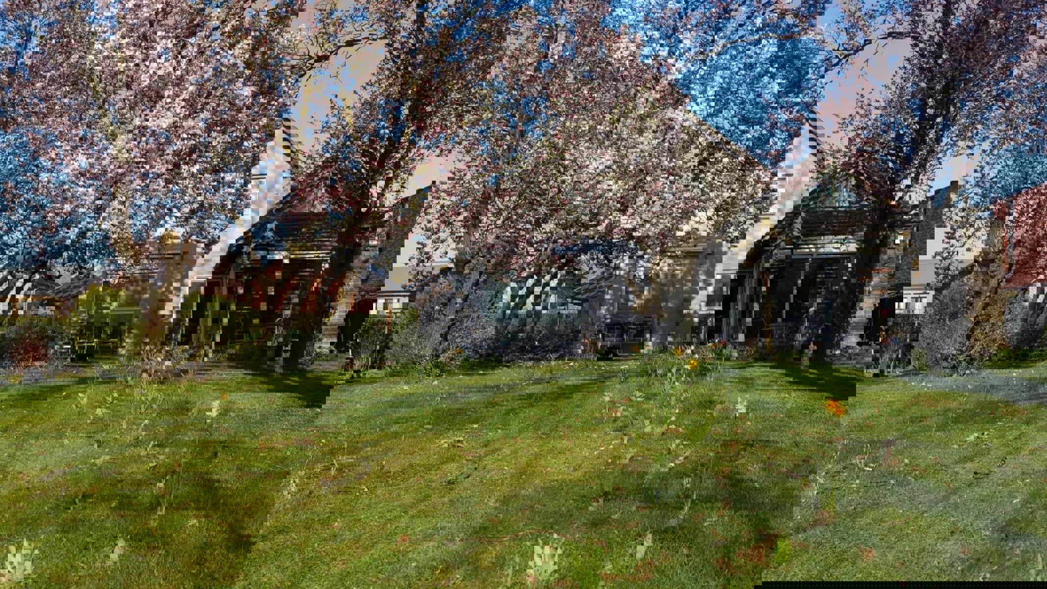 Unieke woning met praktijkruimte, 5 slaapkamers en naastliggende bouwgrond - foto 2