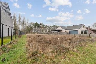 Terrain à vendre à Tessenderlo-Ham