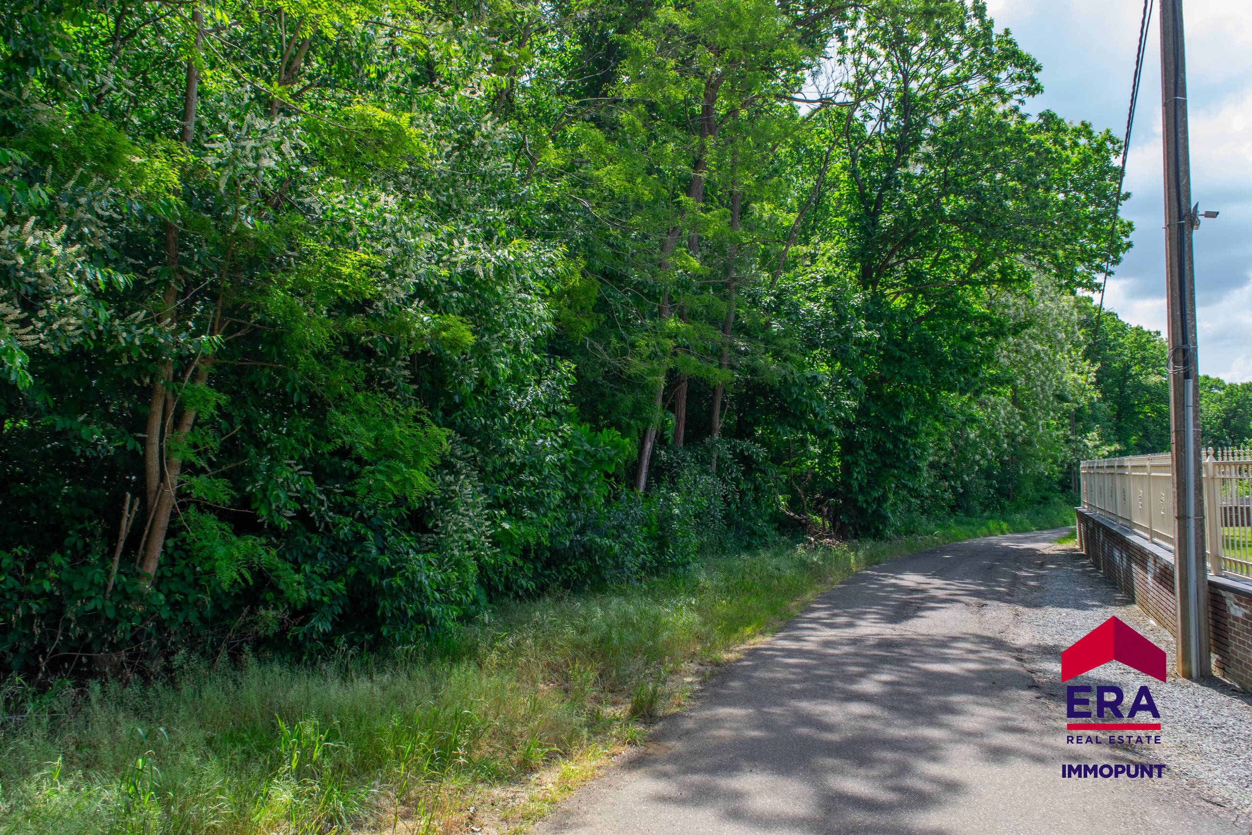 Bosgrond te koop op residentiële locatie Tielt Winge 2,7 Ha - foto 5