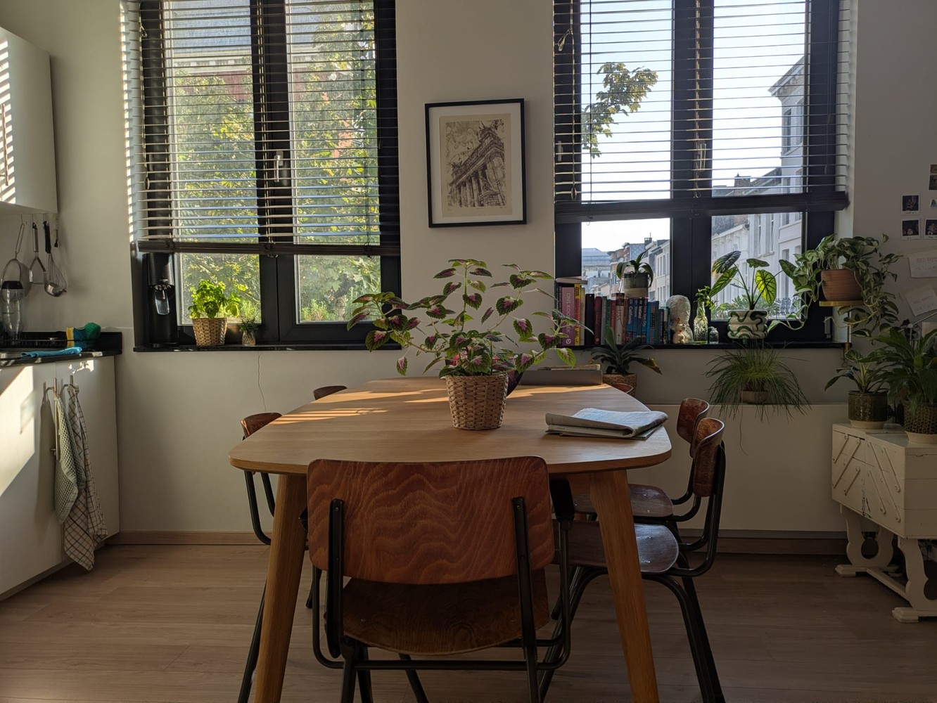 Gezellig appartement op Het Zuid, vlak bij het KMSKA. - photo 5