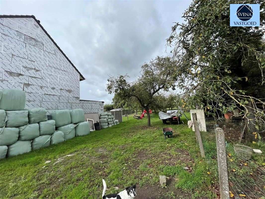 GROND VOOR HOB MET PERCEELSOPPERVLAKTE VAN 440 M² - foto 2