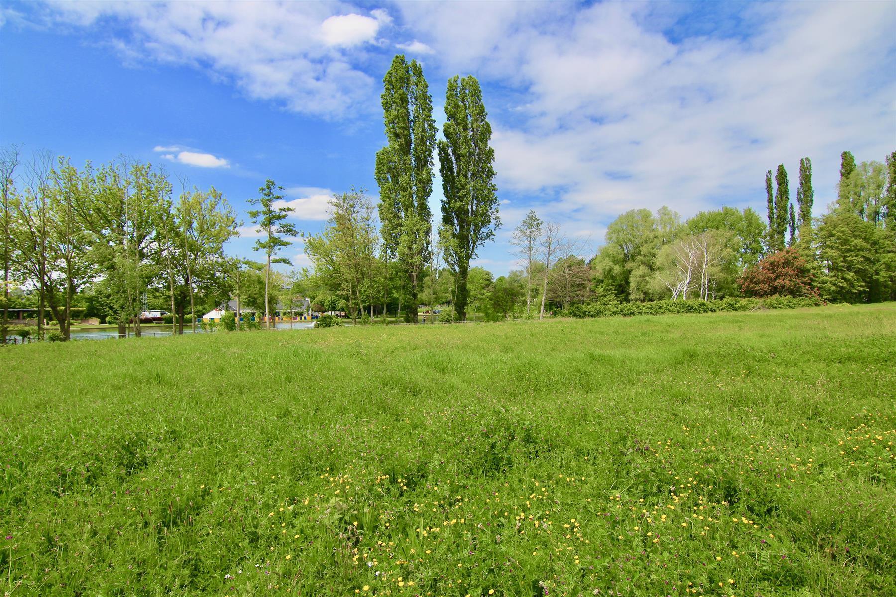 Grond te koop in Tienen - foto 4