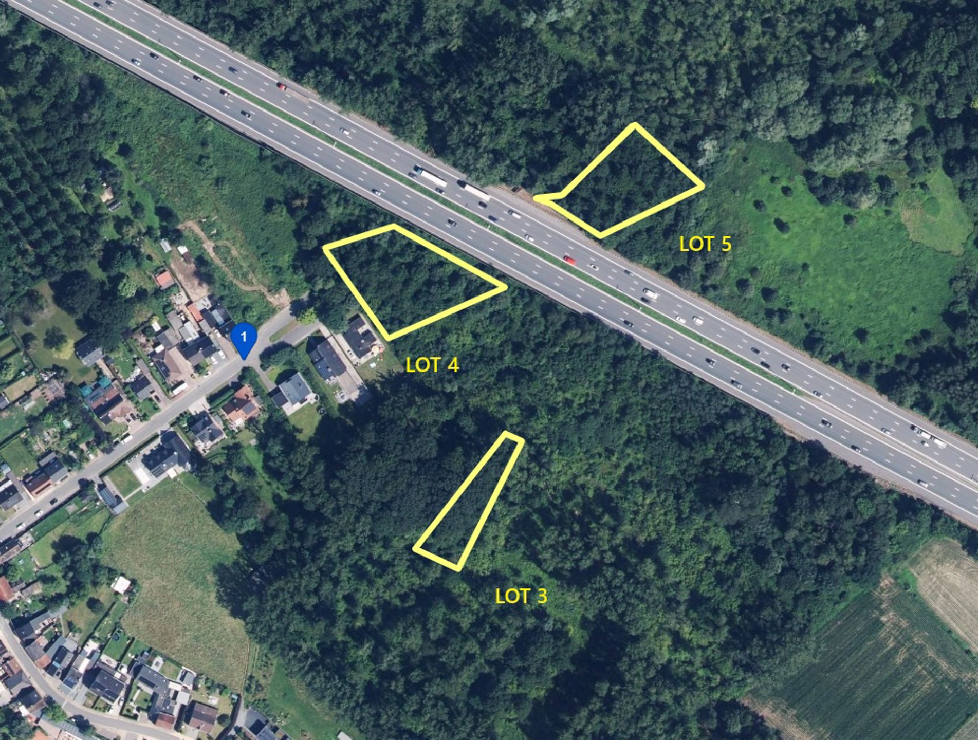 Perceel bosgrond gelegen te Erembodegem! - foto 3