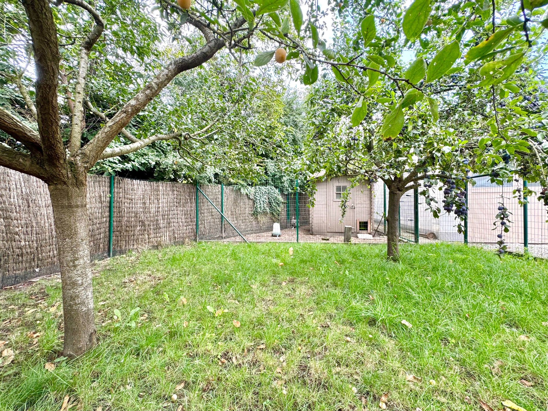 Maison à vendre à Sint-Eloois-Vijve avec 3 chambres - photo 2