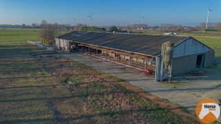 LAARNE- Landbouweigendom met geïntegreerde woningBEZOEKDAG VRIJDAG 30/01 VAN 14U TOT 18U (enkel op afspraak!)In het landelijke Laarne bevindt zich...