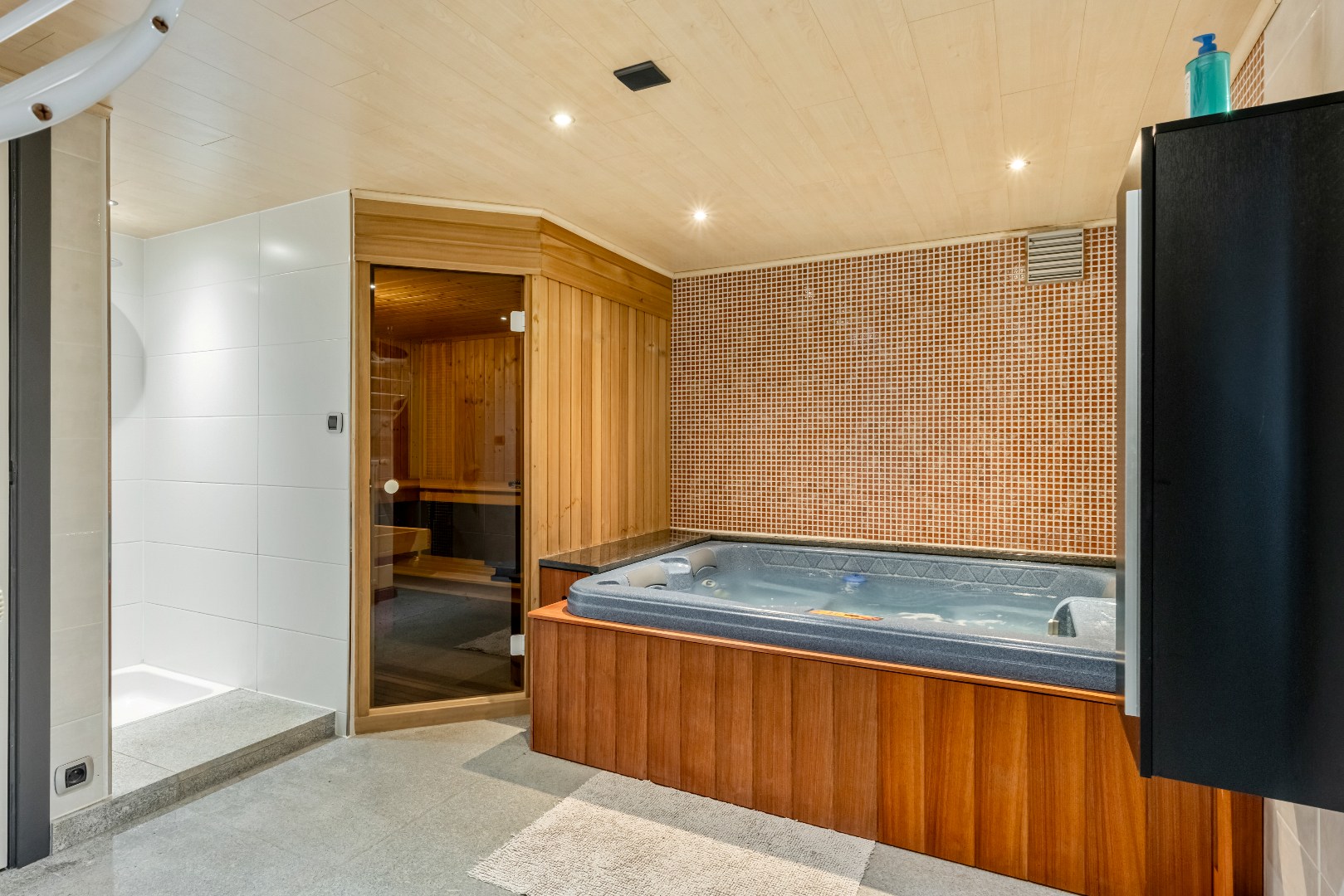 Villa met 115m² ondernemingsruimte! - foto 3