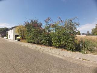 <p><span>Op zoek naar een ruime bouwgrond waar rust, groen en bereikbaarheid mooi samenkomen? Aan de Grotestraat in Boorsem bieden wij dit royale perceel van 26a37ca aan!</span></p><p><span>Het perceel heeft straatbreedte van 15,5 meter en verbreedt vervolgens aanzienlijk naar achteren toe, tot 38,05 meter. Met een diepte van 89,16 meter ontstaat achteraan een ruime en rustige zone die tal van mogelijkheden biedt voor een royale tuin en veel privacy.</span></p><p><span>U geniet hier van een aangename landelijke woonomgeving, terwijl het centrum van Maasmechelen, winkels, scholen, horeca en andere voorzieningen vlot bereikbaar blijven. Ook de belangrijkste verbindingswegen en de autosnelweg bevinden zich op korte afstand.</span></p><p><span>Perceelgegevens</span></p><ul><li><span>Oppervlakte: 2.637 m²</span></li><li><span>Straatbreedte: 15,5 meter</span></li><li><span>Breedte achteraan: 38,05 meter</span></li><li><span>Perceeldiepte: 89,16 meter</span></li><li><span>Bestemming: woongebied met landelijk karakter</span></li></ul><p><span>De concrete bouwmogelijkheden, bouwvorm en inplanting zijn afhankelijk van de geldende stedenbouwkundige voorschriften en de goedkeuring van de bevoegde overheid.</span></p><p><span>Interesse? Neem gerust contact op met Diana op 0484.35.70.31 of diana@jemar.be!</span></p>