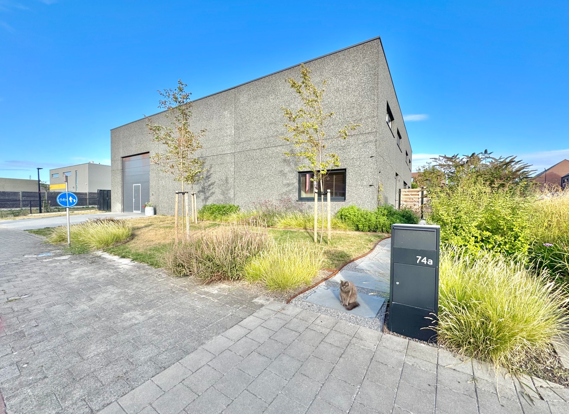 Commercial à vendre à Waregem avec 4 chambres - photo 4