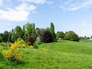 This property which only asks to be reborn (renovation and total or partial demolition) is implanted on a constructible plot of 28 ares 95...