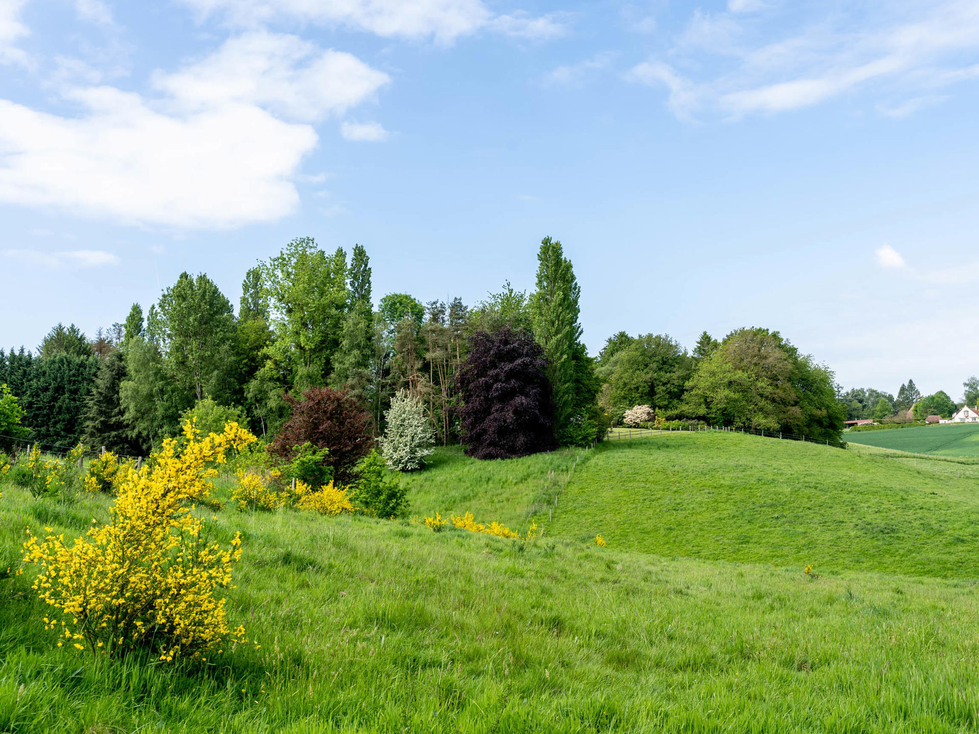 House for sale in Lasne-Chapelle-Saint-Lambert with 5 bedrooms - photo 2