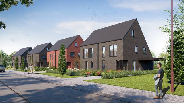 Project te koop in Lint