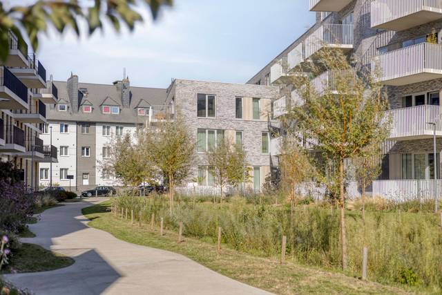 Project te koop in Machelen