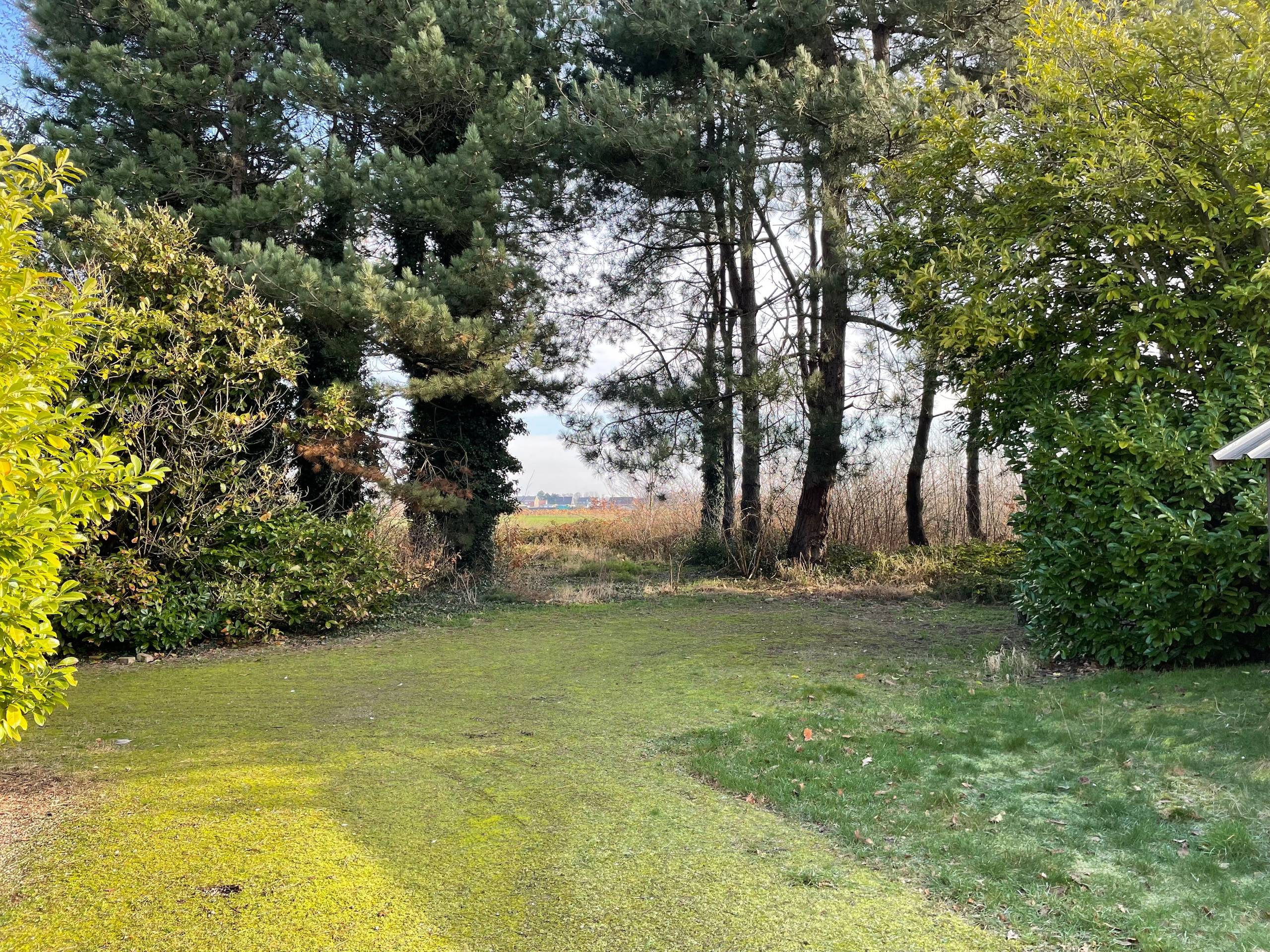 Grond te koop in Assenede - foto 4