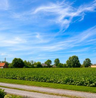 Woning te koop in het landelijke Tiegem met veel potentieel<br /><br />Bij het binnengaan van de woning kom je terecht in de gezellige leefruimte, met aansluitend de keuken. De woning wordt verwarmd met een pelletkachel. Verder bevinden zich op het gelijkvloers de badkamer, uitgerust met een bad en lavabo, evenals een berging.<br /><br />Buiten geniet je van een ruime, volledig omheinde tuin naast de woning. Daarnaast beschikt het eigendom over twee garages en een uitweg.<br /><br />Op de eerste verdieping bevinden zich drie slaapkamers en een apart toilet. Via een vaste toegang bereik je de ruime zolder.<br /><br />Voor meer info bel Amber op 0470 11 17 12