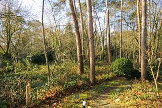 Maison à vendre à Westwesel