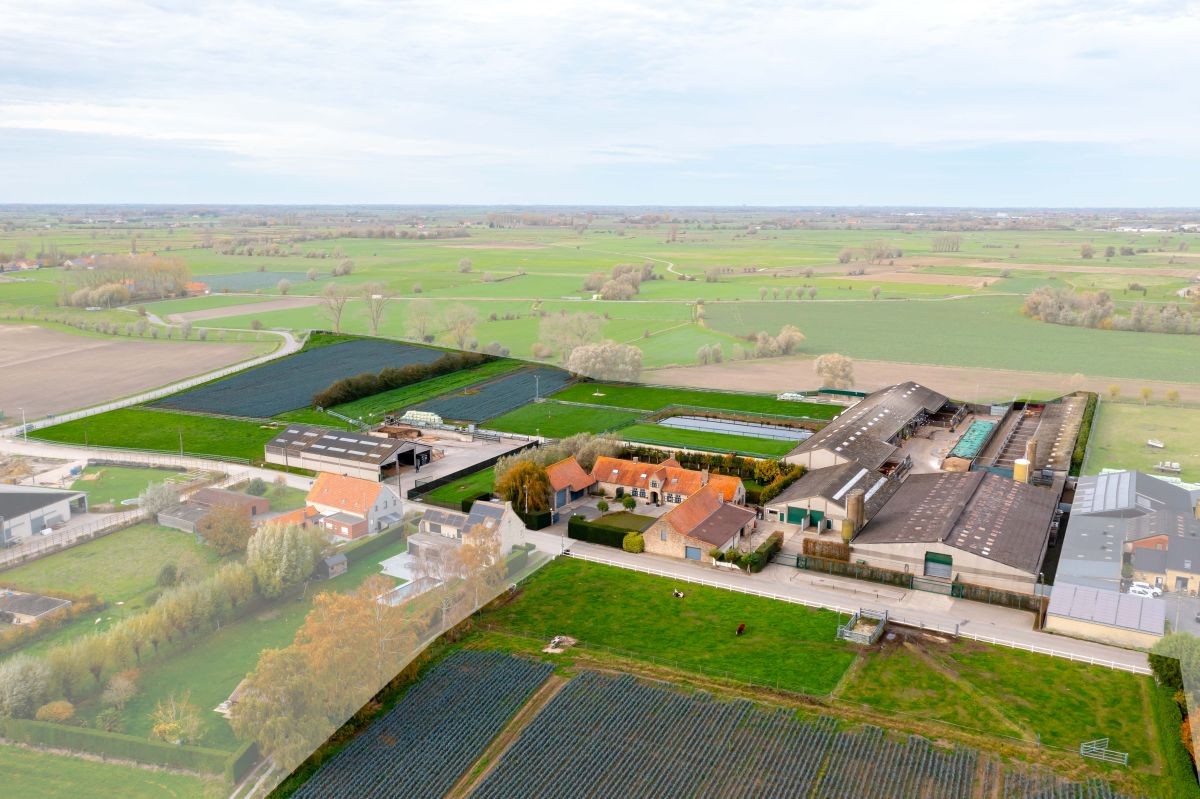 Groot vleesveebedrijf te koop te Diksmuide - photo 1