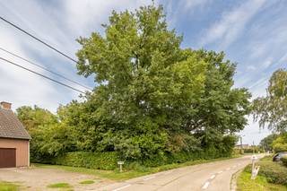 Residentieel gelegen perceel bouwgrond van 1.438m² geschikt voor het bouwen van een vrijstaande woning. Dit zuid georiënteerd hoekperceel maakt...