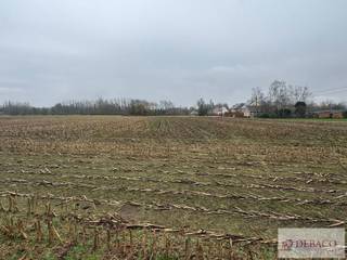 Terrain à vendre à Berlaar