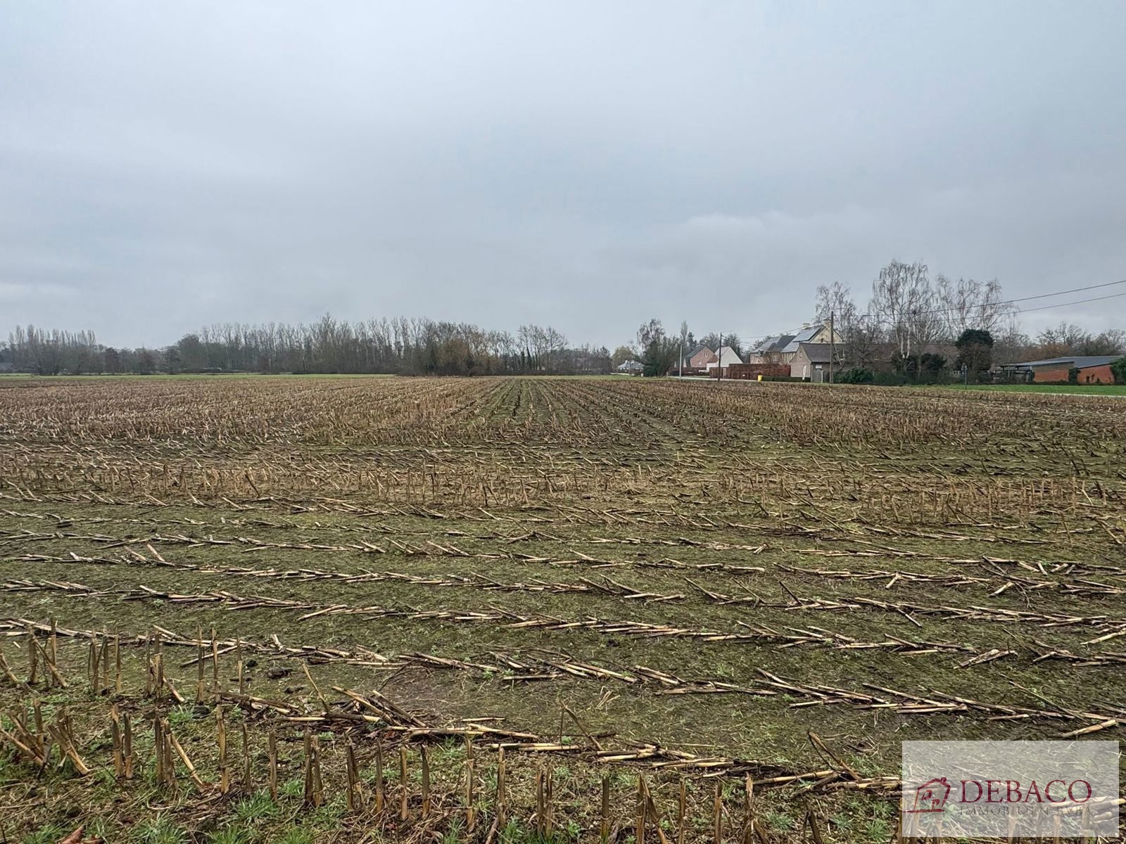 Terrain à vendre à Berlaar - photo 2