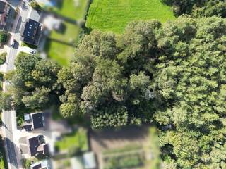 Terrain à vendre à Rotselaar