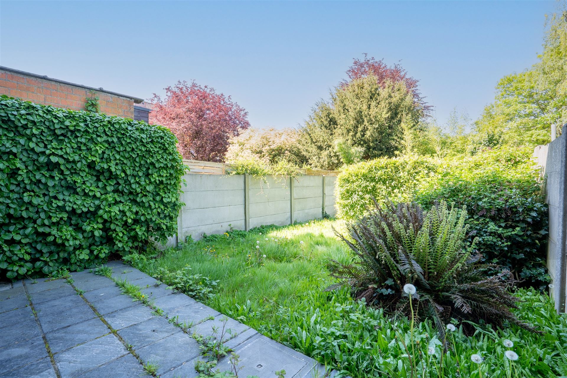 Kantoor met ruime tuin! 🌿 - foto 3