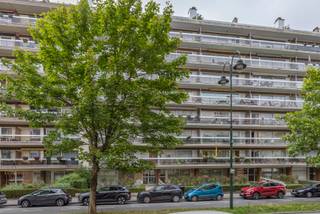 Situé sur une artère très fréquentée, à proximité de toutes les commodités et entouré d'autres commerces.Grâce à la grande vitrine donnant sur la...