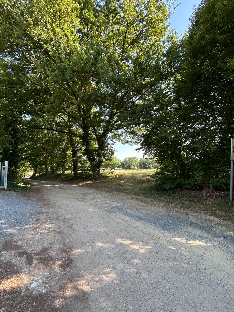 Bouwgrond met achterliggende weide te koop - foto 5