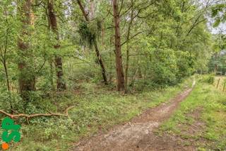 Bosgrond gelegen langs Kopberg te Balen op perceel van 12760 m².<br /><br />Op zoek naar een uniek stukje natuur? Langs Kopberg te Balen bevindt zich deze uitgestrekte bosgrond met een oppervlakte van maar liefst 12.760 m².<br /><br />Dit perceel biedt een prachtige groene omgeving en vormt een ideale plek voor liefhebbers van rust, natuur en buitenruimte. Geniet van de charme van een bosrijke omgeving, weg van de dagelijkse drukte.<br /><br />Een unieke kans om eigenaar te worden van een mooi stuk bos in een rustige en groene omgeving.<br /><br />Oppervlakte: ca. 12.760 m²<br />Ligging: Kopberg, Balen<br />Kadaster: 1ste AFD, Sectie E1799g<br />Bestemming: natuurgebied<br /><br />Voor meer informatie of een bezoek ter plaatse, kan u contact opnemen met IMMO SP via 014 59 10 20 of mailen naar jill@immosp.be. Benieuwd naar de waarde van uw eigen woning? Vraag vrijblijvend een gratis verkoopanalyse aan – wij helpen u graag verder!