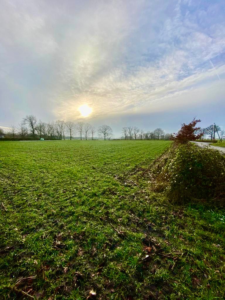 Ruim perceel grond van 15.660m² gelegen in recreatiegebied met diverse mogelijkheden - foto 3